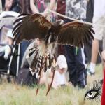 images/fotografie/hp-fdb-10.jpg